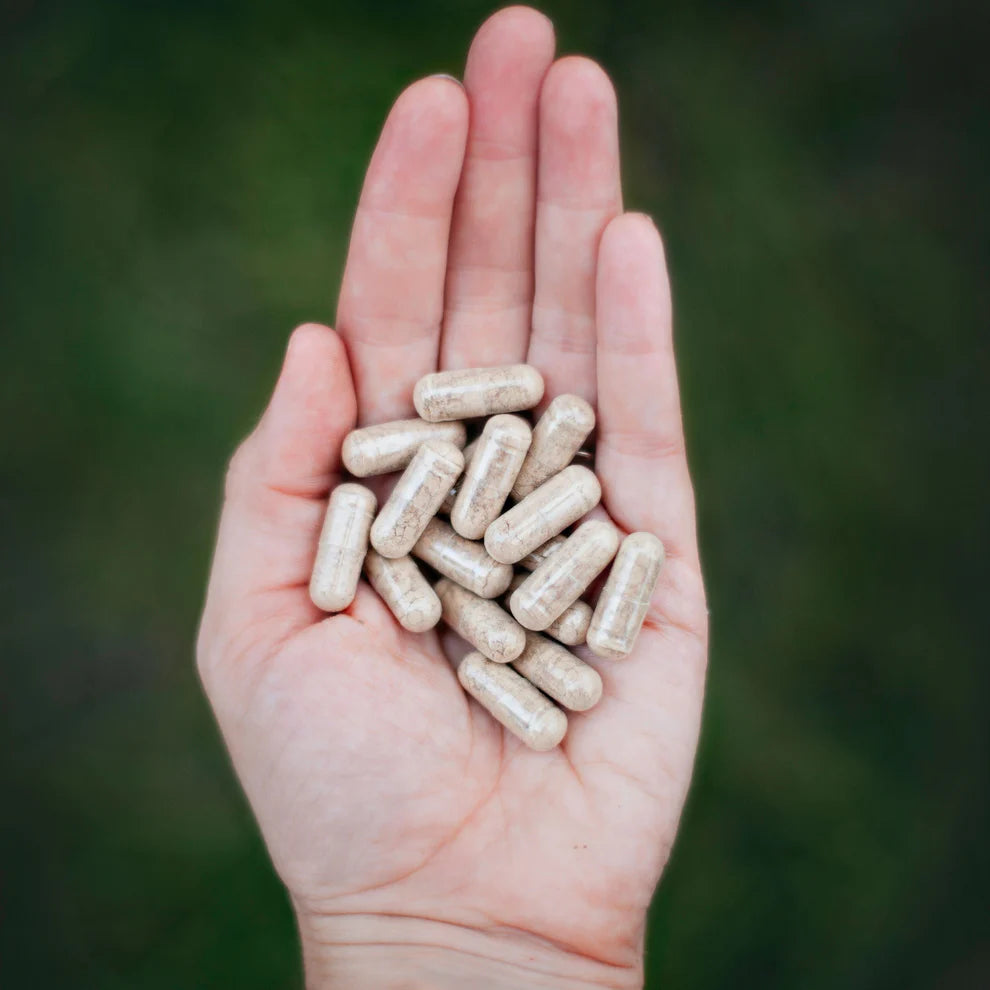 Kosher Grass Fed Beef Liver Capsules (Under Star K)