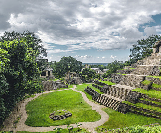Mayan Water Decaf