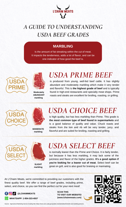 Wholesale Grass Fed Beef - USDA PRIME  - WHOLE Front Quarter Beef Animal